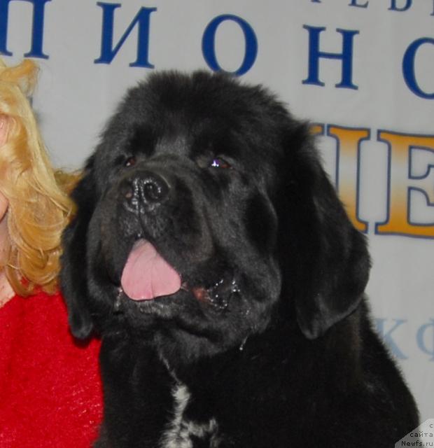 Фотография № 21254