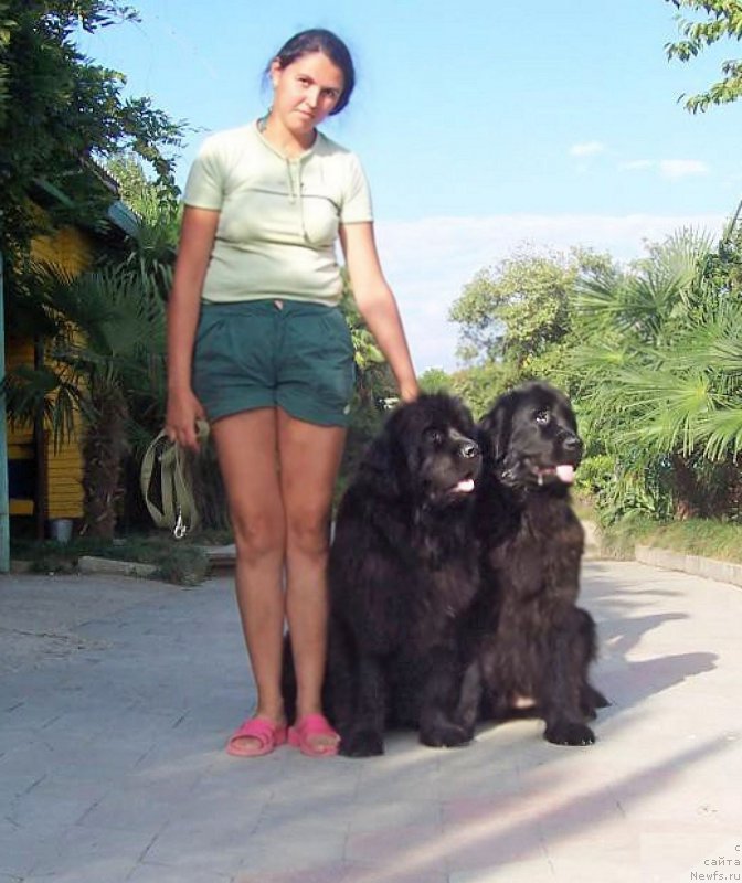 Фото: Mariya Smirnova (Мария Смирнова)