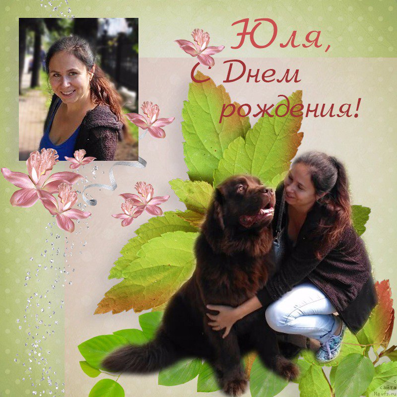 Фотография № 212556