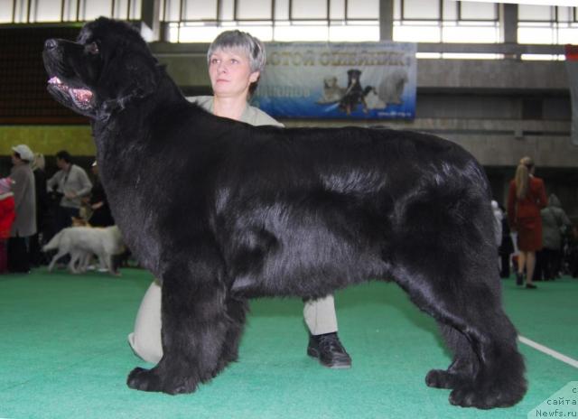 Фотография № 21256