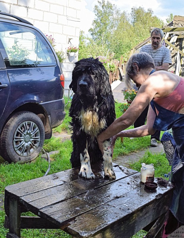 Фотография № 212566