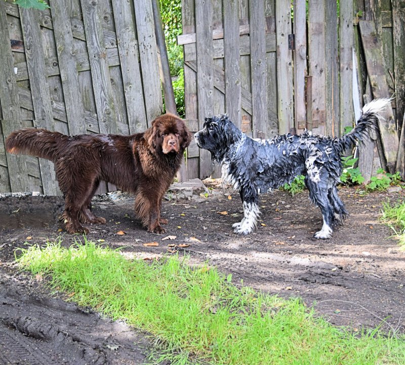 Фотография № 212572