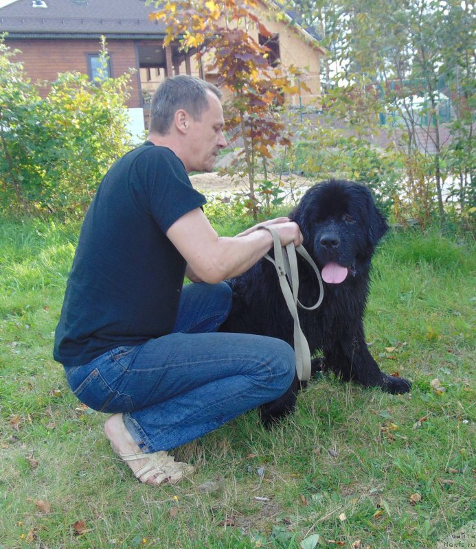 Фотография № 212588