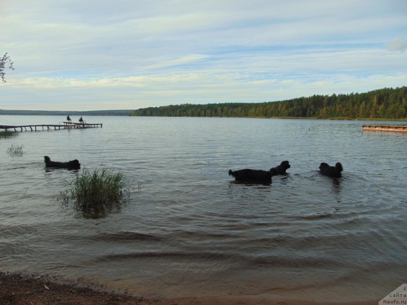 Фотография № 212589