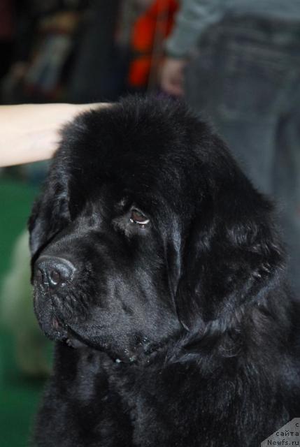 Фотография № 21259