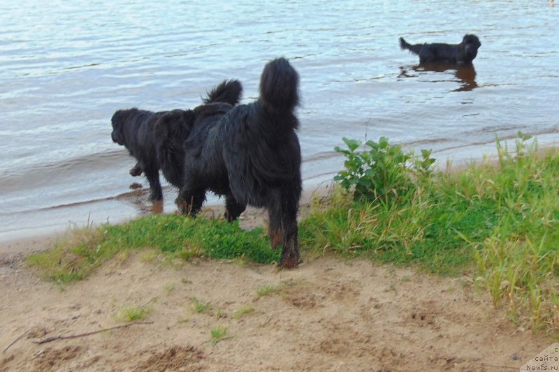 Фотография № 212593