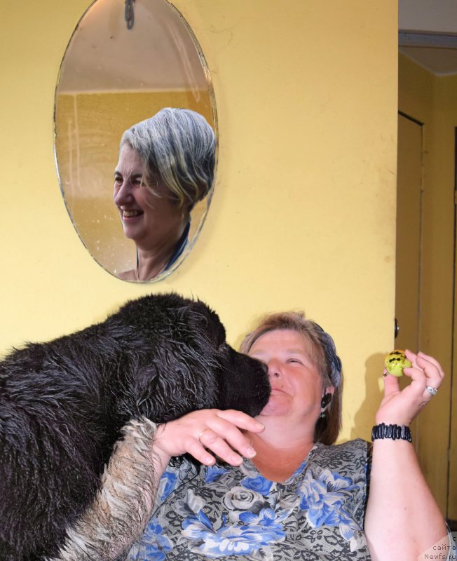 Фотография № 212604