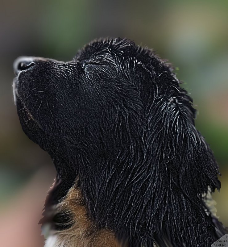 Фотография № 212608