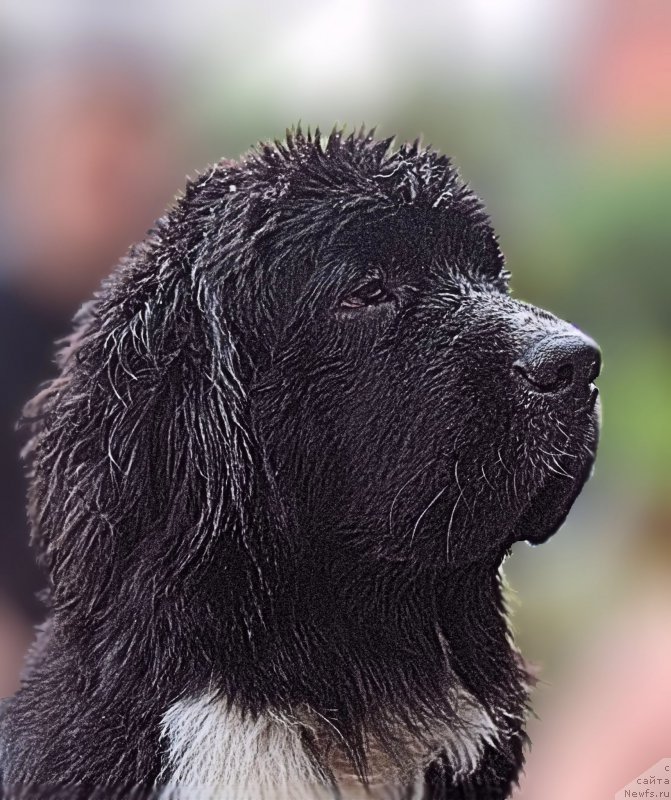 Фотография № 212614