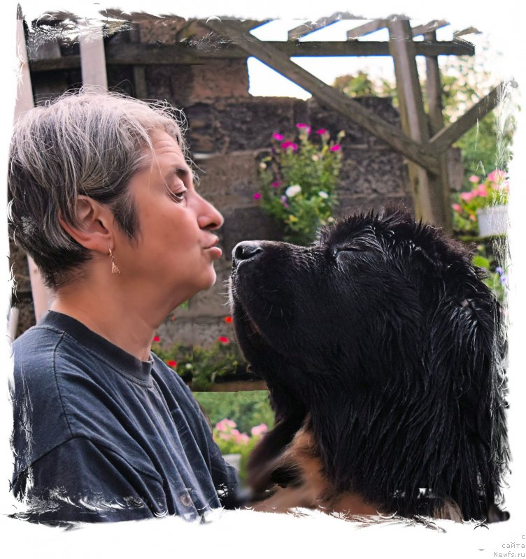 Фотография № 212618