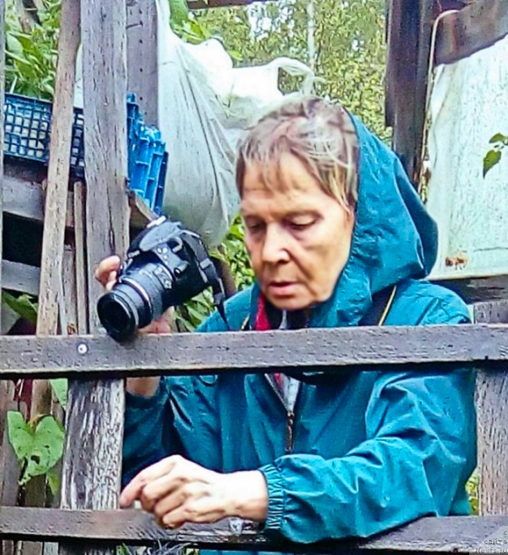 Фотография № 212630