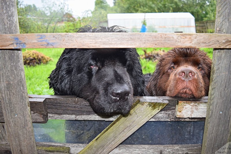 Фотография № 212631