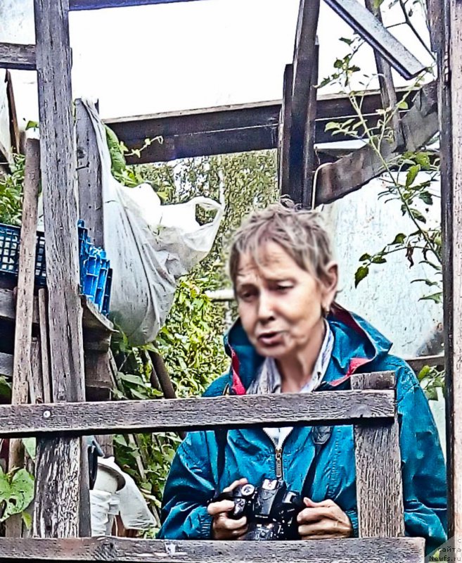 Фотография № 212633