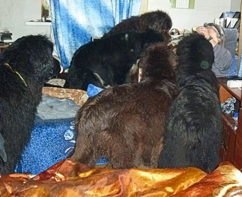 Фотография № 212644