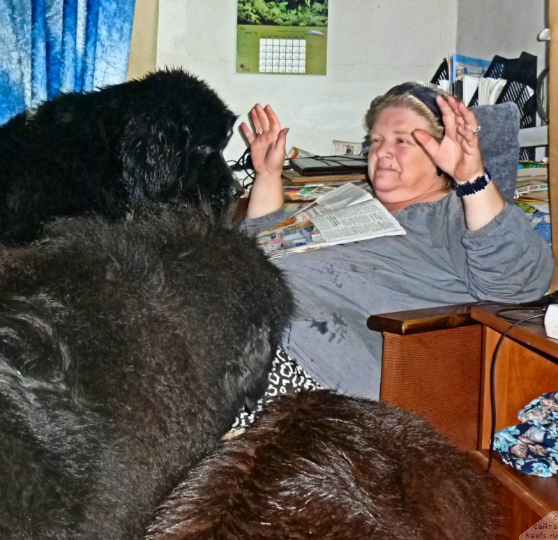 Фотография № 212647