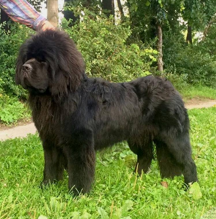 Фотография № 212681