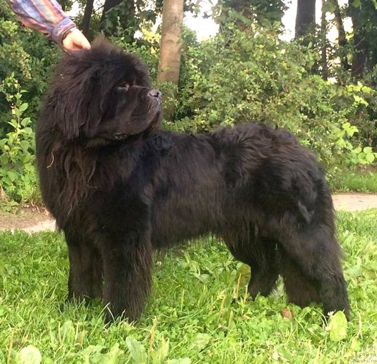 Фотография № 212682