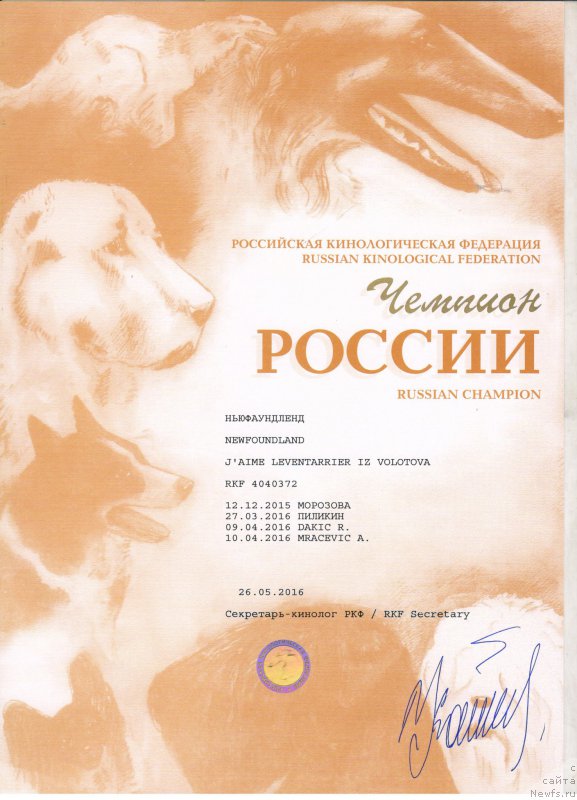 Фотография № 212700