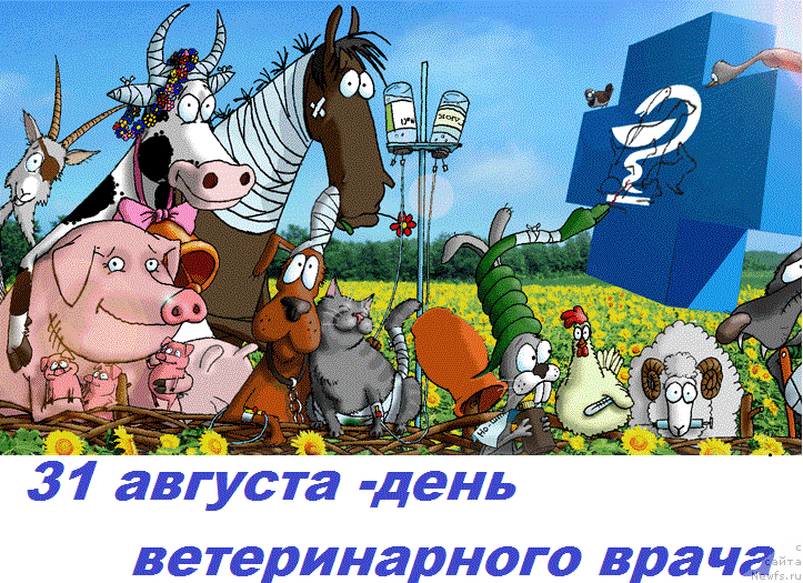 Фотография № 212701