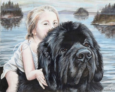 Фотография № 212708