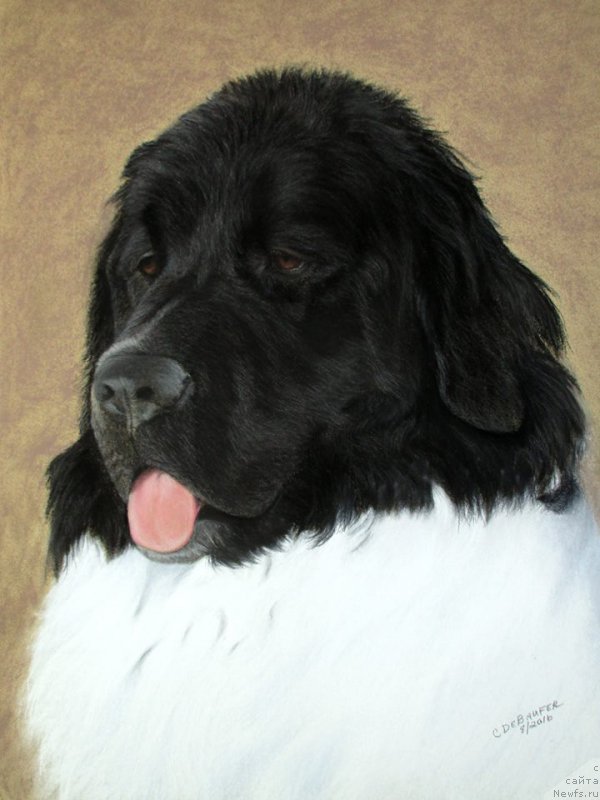 Фотография № 212709