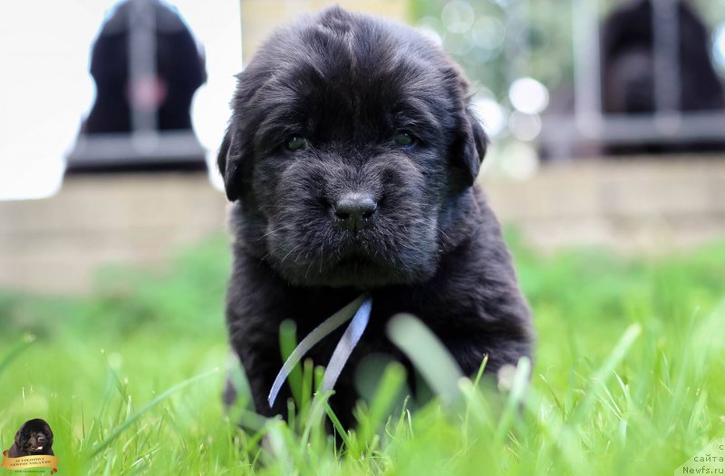Фото: Viktor Hrischanovich (Виктор Хрищанович)