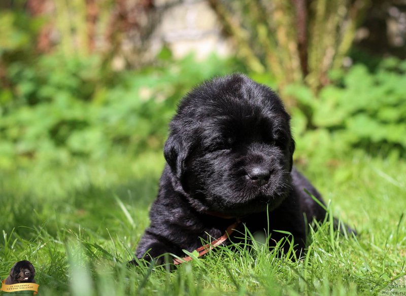 Фото: Viktor Hrischanovich (Виктор Хрищанович)