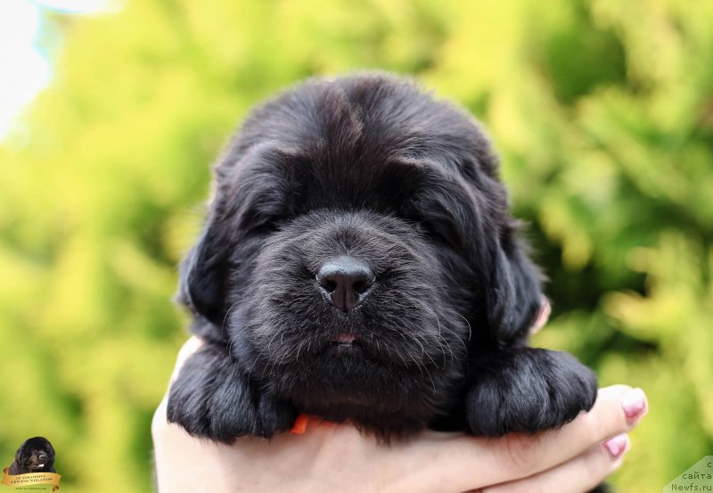 Фото: Viktor Hrischanovich (Виктор Хрищанович)