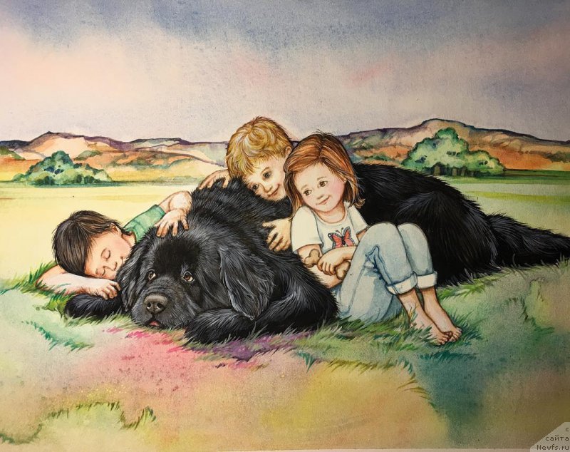 Фотография № 212754