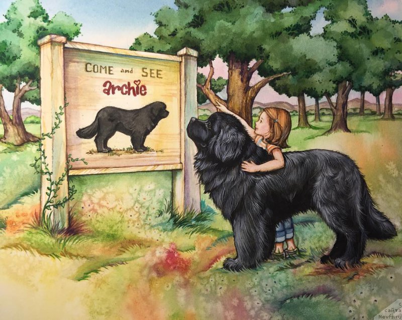 Фотография № 212757