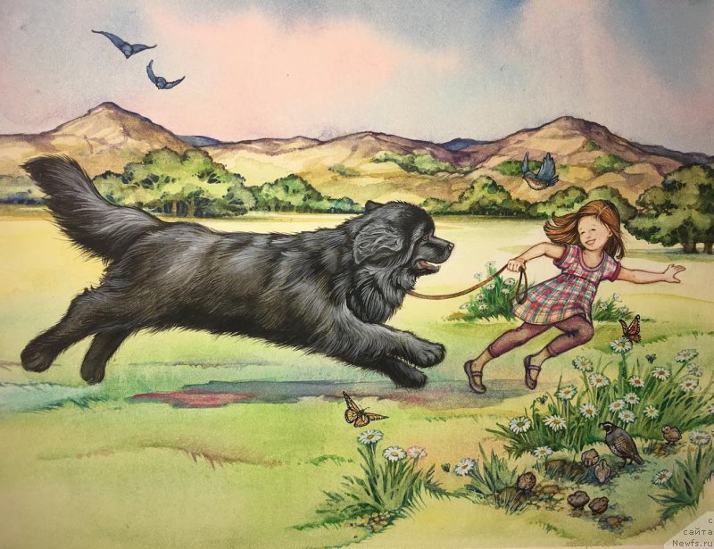 Фотография № 212758