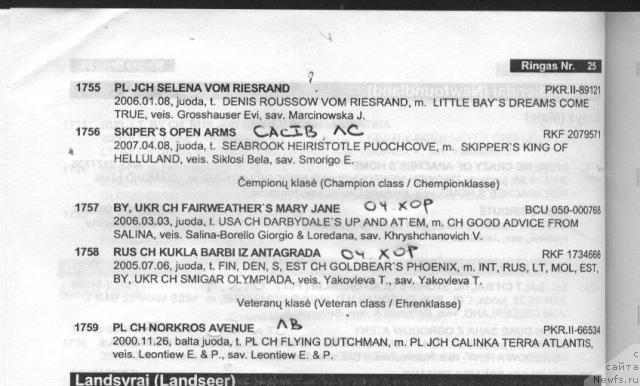 Фотография № 21276