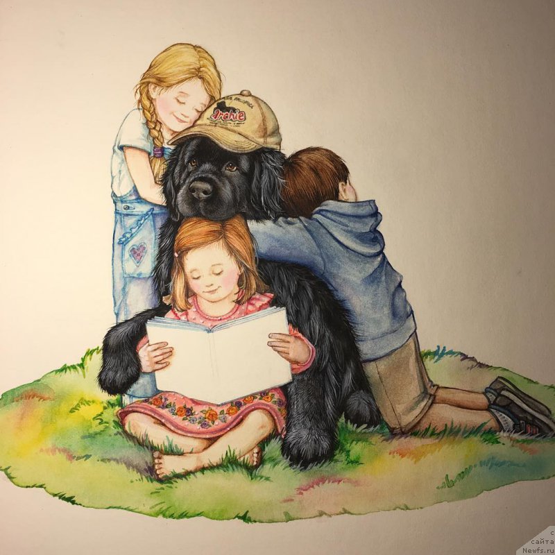 Фотография № 212760