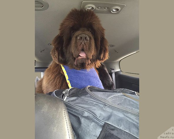 Фотография № 212764