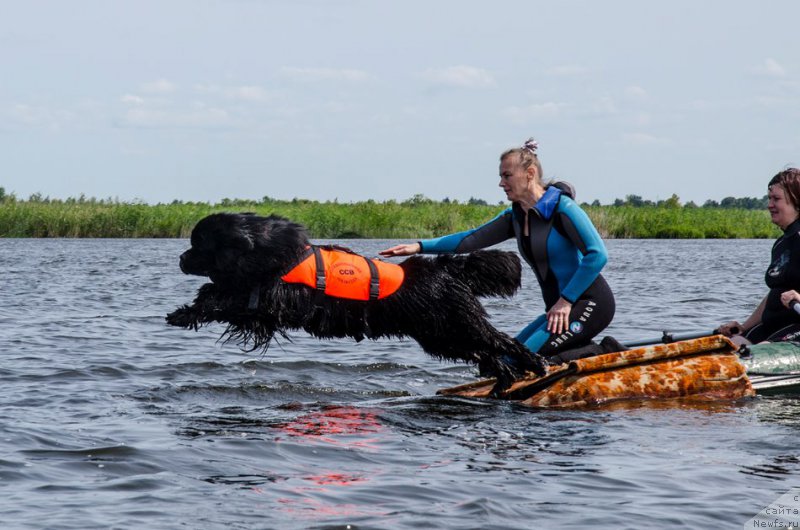 Фотография № 212769