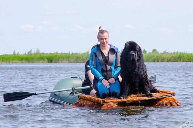 Фотография № 212770