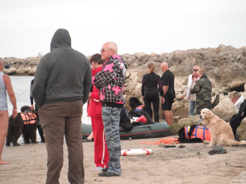 Фотография № 212775