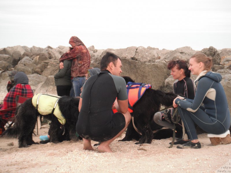 Фотография № 212776