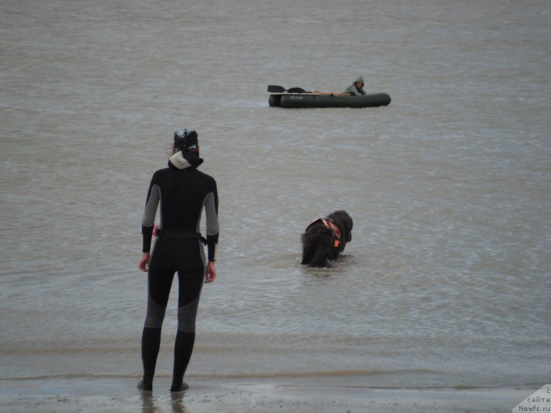 Фотография № 212777