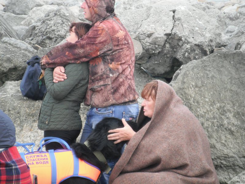 Фотография № 212778