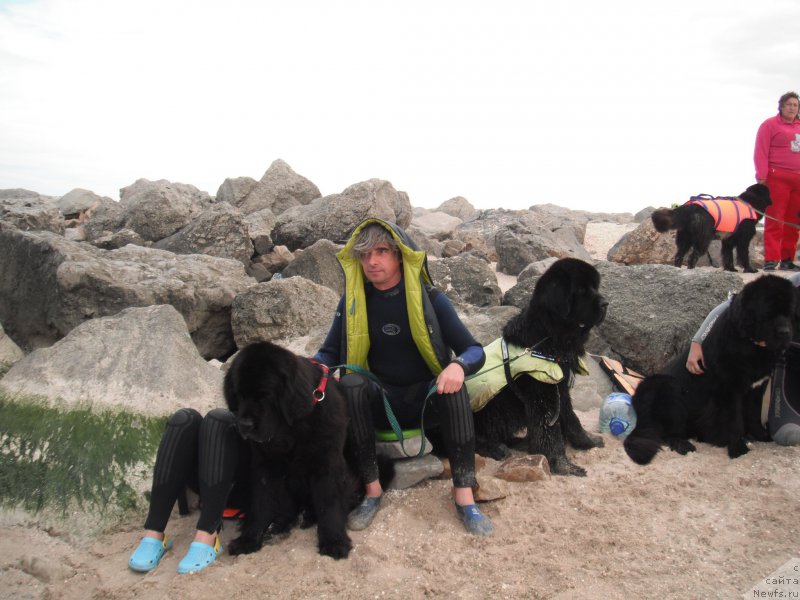 Фотография № 212780