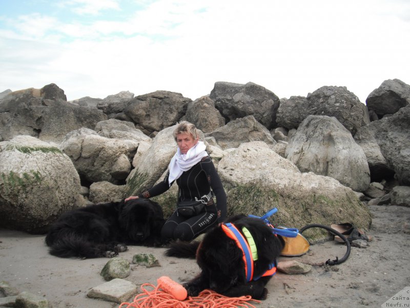 Фотография № 212781