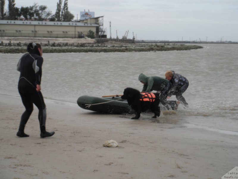 Фотография № 212783