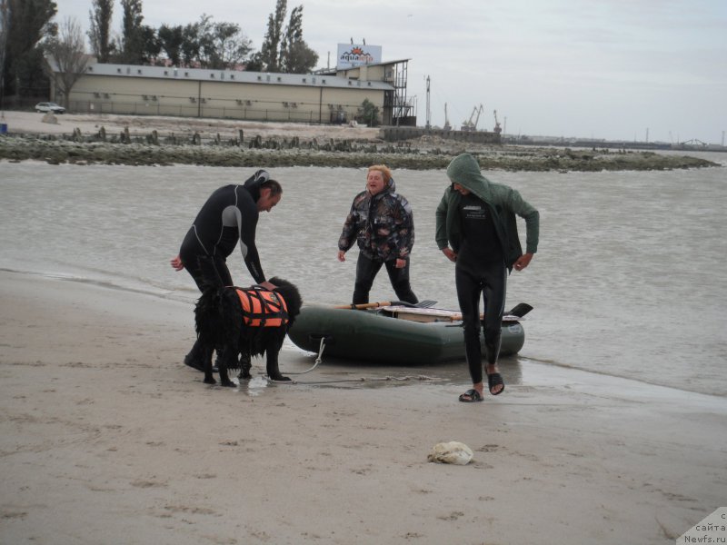 Фотография № 212784