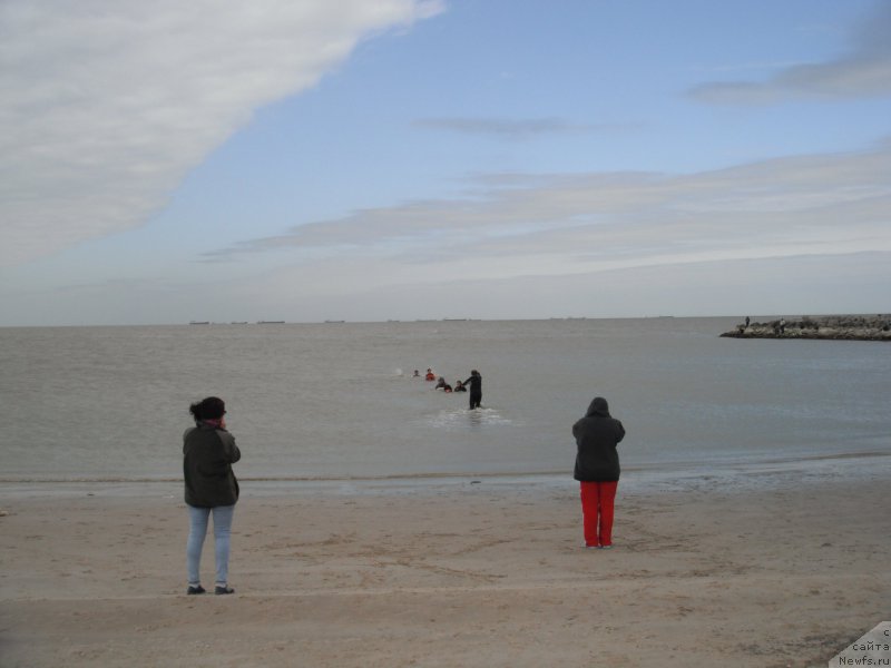 Фотография № 212786