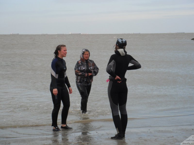 Фотография № 212787