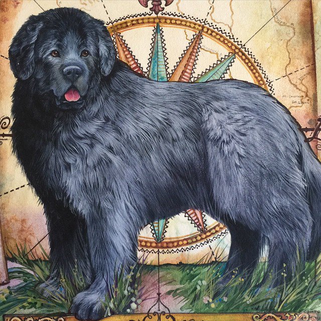 Фотография № 212794