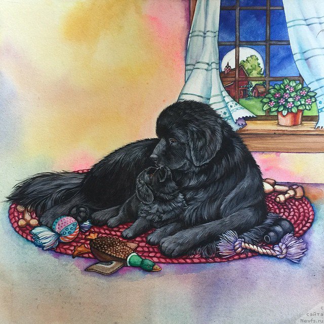 Фотография № 212795