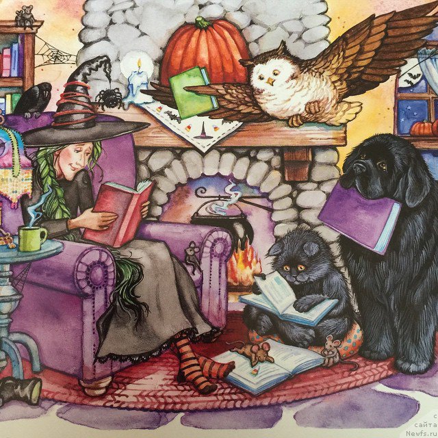 Фотография № 212797