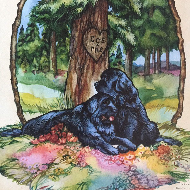 Фотография № 212799